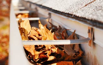Higher Molland gutter cleaning companies