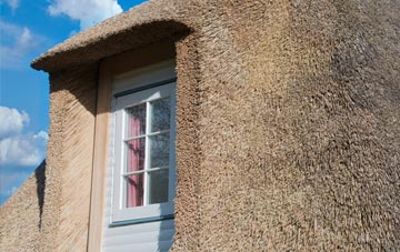 Higher Molland thatch roof disadvantages