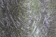 Higher Molland fibreglass roof work